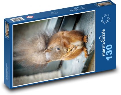 Eichhörnchen. - Puzzle - 130 Teile