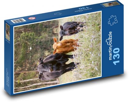 Kravy - hovädzí dobytok - Puzzle 130 dielikov, rozmer 28,7x20 cm 