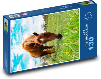 Horse - Grazing - Puzzle 130 pieces, size 28.7x20 cm 