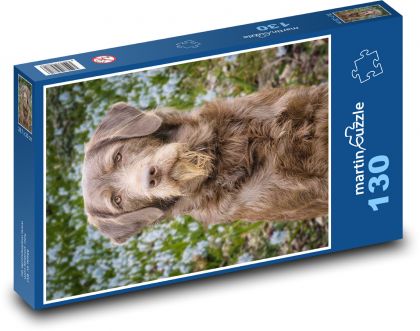 Dog - Labradoodle - Puzzle 130 pieces, size 28.7x20 cm 