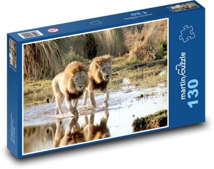A Pair of Lions - Puzzle 130 pieces, size 28.7x20 cm 