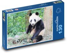 Medveď panda Puzzle 130 dielikov - 28,7 x 20 cm 
