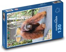 Orangutan - opice Puzzle 130 - 28,7x20 cm