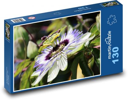 Mučenka - Puzzle 130 dielikov, rozmer 28,7x20 cm 