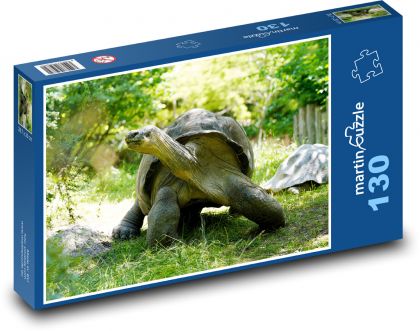 Obří želva - puzzle 130 dílků