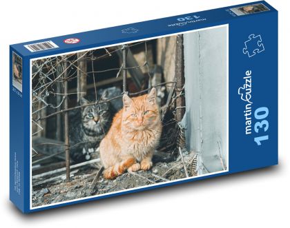 Streunende Katzen - Puzzle - 130 Teile