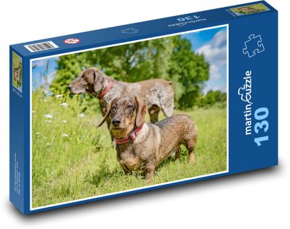 Long-haired dachshund - Puzzle 130 pieces, size 28.7x20 cm 
