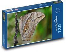 Motýl - hmyz Puzzle 130 - 28,7x20 cm