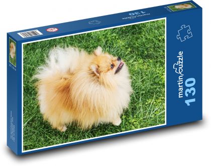 Hund - Deutscher Spitz - Puzzle - 130 Teile