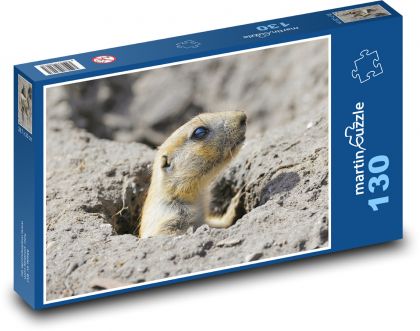 Black-Tailed Prairie Dog - Puzzle 130 pieces, size 28.7x20 cm 