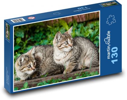 Kočky - koťata - puzzle 130 dílků