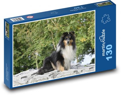 Shetland Shepherd Dog - Puzzle 130 pieces, size 28.7x20 cm 