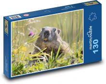 Alps - Marmots Puzzle 130 pieces - 28.7 x 20 cm 