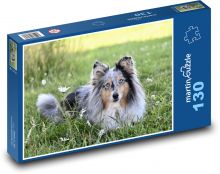 Sheltie - pes, pastier Puzzle 130 dielikov - 28,7 x 20 cm 