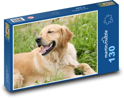 Zlatý retriever - Puzzle 130 dielikov, rozmer 28,7x20 cm 