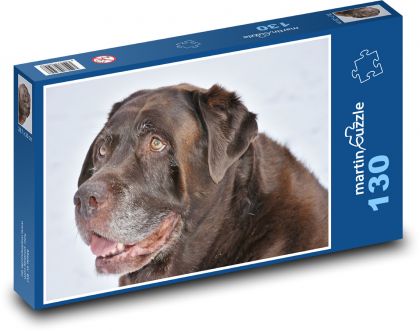 Retriever - Pies - Puzzle 130 elementów, rozmiar 28,7x20 cm