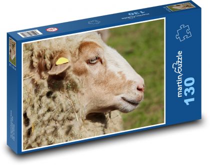 Ovce - domácí zvíře  - puzzle 130 dílků