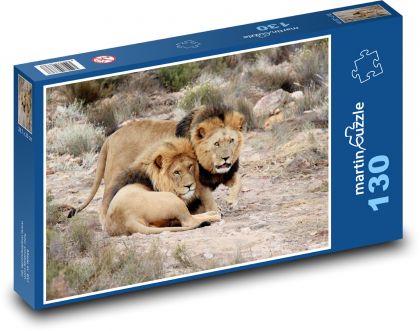 Republika Południowej Afryki - Lwy - Puzzle 130 elementów, rozmiar 28,7x20 cm