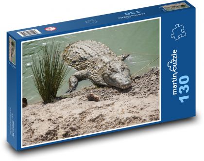 Crocodylus - Puzzle 130 pieces, size 28.7x20 cm 