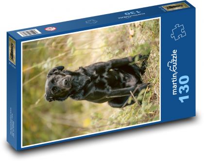 Black Labrador - Dog - Puzzle 130 pieces, size 28.7x20 cm 