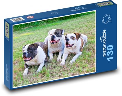Buldogi amerykańskie w trawie - Puzzle 130 elementów, rozmiar 28,7x20 cm