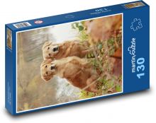 Dva zlatí retrívři Puzzle 130 - 28,7x20 cm
