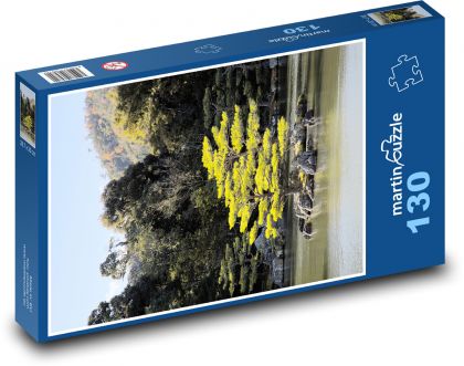 Bäume auf der Wasseroberfläche - Puzzle - 130 Teile