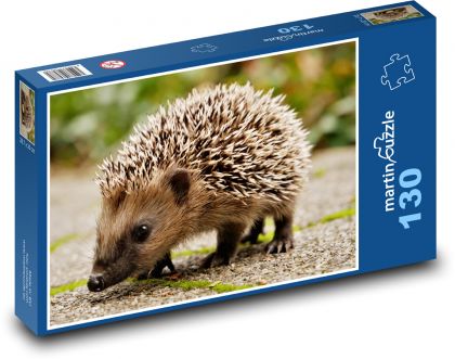 A small hedgehog on the pavement - Puzzle 130 pieces, size 28.7x20 cm 