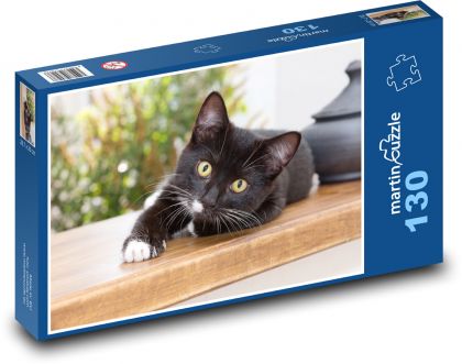 Černobílé kotě odpočívající na stole - puzzle 130 dílků