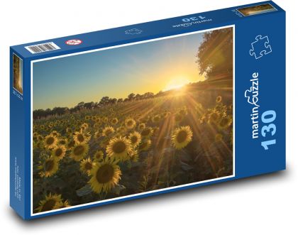 Slnko nad slnečnicovým poľom - Puzzle 130 dielikov, rozmer 28,7x20 cm 