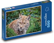 Rys ostrovid v lese Puzzle 500 dielikov - 46 x 30 cm 