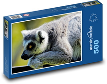 Lemur - opice Puzzle 500 - 46x30 cm