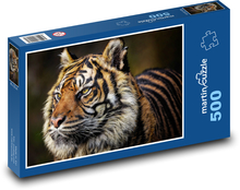 Tiger - veľká mačka Puzzle 500 dielikov - 46 x 30 cm 