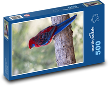 Rozela Pennantova - australský papoušek Puzzle 500 dílků - 46 x 30 cm