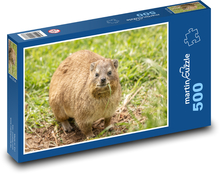 Daman - africké zvíře Puzzle 500 dílků - 46 x 30 cm