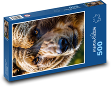 Hlava hnedého medveďa Puzzle 500 dielikov - 46 x 30 cm 
