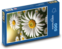Gänseblümchen - weiße Blumen Puzzle 500 Teile - 46 x 30 cm