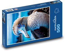 Terej modronohý - mořský pták Puzzle 500 dílků - 46 x 30 cm