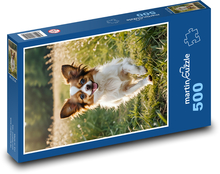 Papillon - malé domáce zviera Puzzle 500 dielikov - 46 x 30 cm