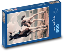 Škvrnité žriebä Puzzle 500 dielikov - 46 x 30 cm 