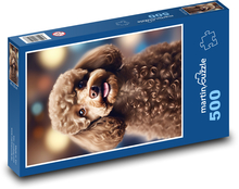 Szczeniak pudel Puzzle 500 elementów - 46x30 cm
