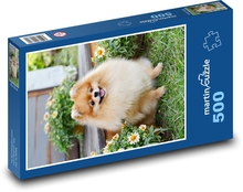 Pes - Pomeranian, pet Puzzle 500 dielikov - 46 x 30 cm 