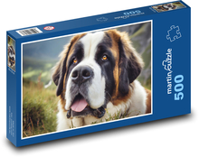 Pies - Bernard, zwierzę domowe Puzzle 500 elementów - 46x30 cm