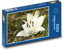 Weiße Lilienblume - Blume im Garten, schöne Blume Puzzle 500 Teile - 46 x 30 cm