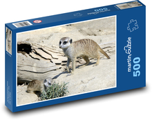 Surykatki - małe zwierzę, ssaki w przyrodzie Puzzle 500 elementów - 46x30 cm