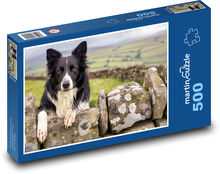 Border Collie - Domestic Pet Puzzle of 500 pieces - 46 x 30 cm 