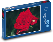Czerwona róża z poranną rosą Puzzle 500 elementów - 46x30 cm