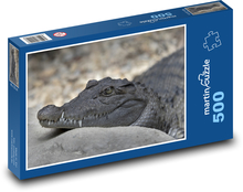 Odpočívajúci aligátor Puzzle 500 dielikov - 46 x 30 cm 