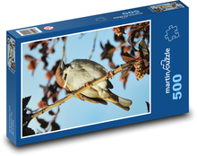 Hnědý vrabec na větvi Puzzle 500 dílků - 46 x 30 cm