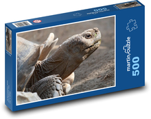 Obrovská korytnačka Puzzle 500 dielikov - 46 x 30 cm 